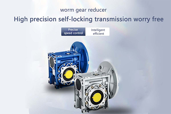 Worm-Gear-Reducer