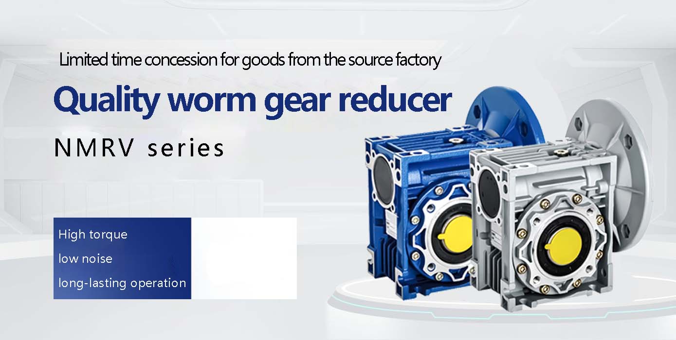 High-Quality Worm Gear Reducers