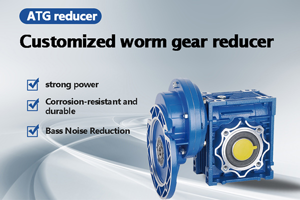 Customized-Worm-Gear-Reducers